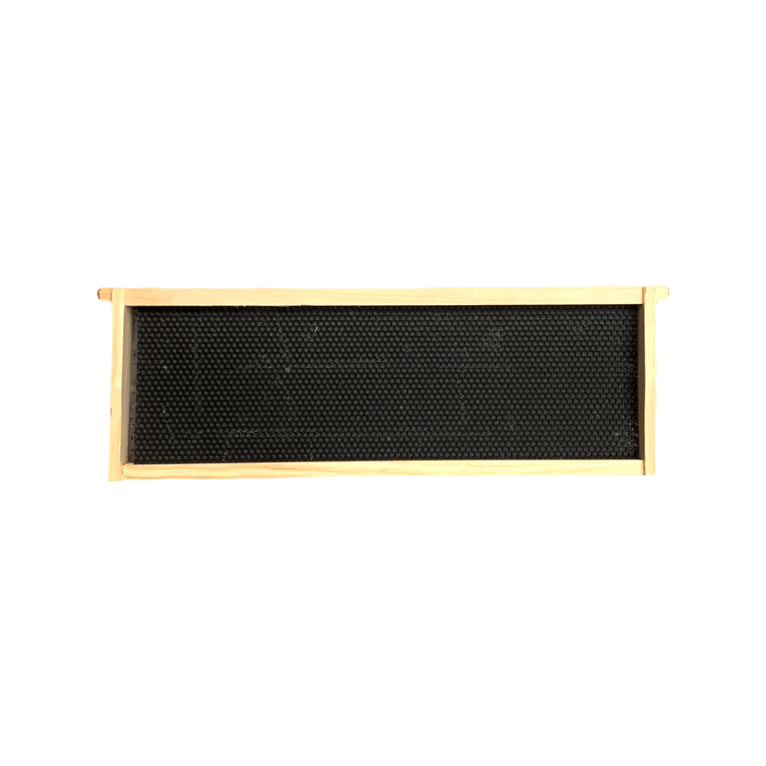 6 1/4 Assembled Frame with Single Wax Coat - Bitterroot Buzz Bees