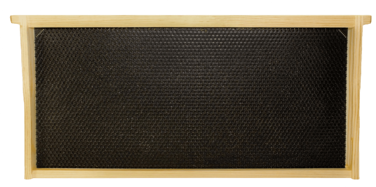 9 1/8" Assembled Frame with Single Wax Coat - Bitterroot Buzz Bees
