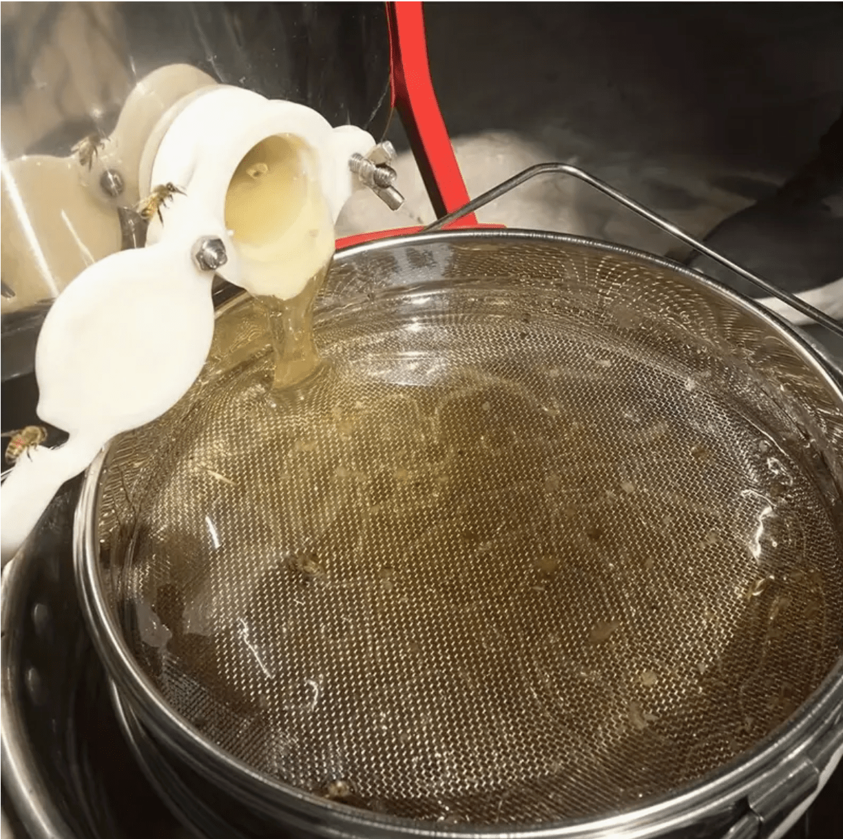 Adjustable Dual Mesh Honey Strainer - Stainless Steel Beekeeping Sieve - Bitterroot Buzz Bees
