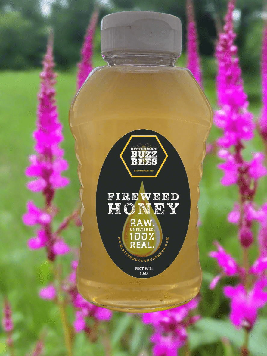 Fireweed Raw Honey Squeeze Jar - Pure & Delicious - Bitterroot Buzz Bees