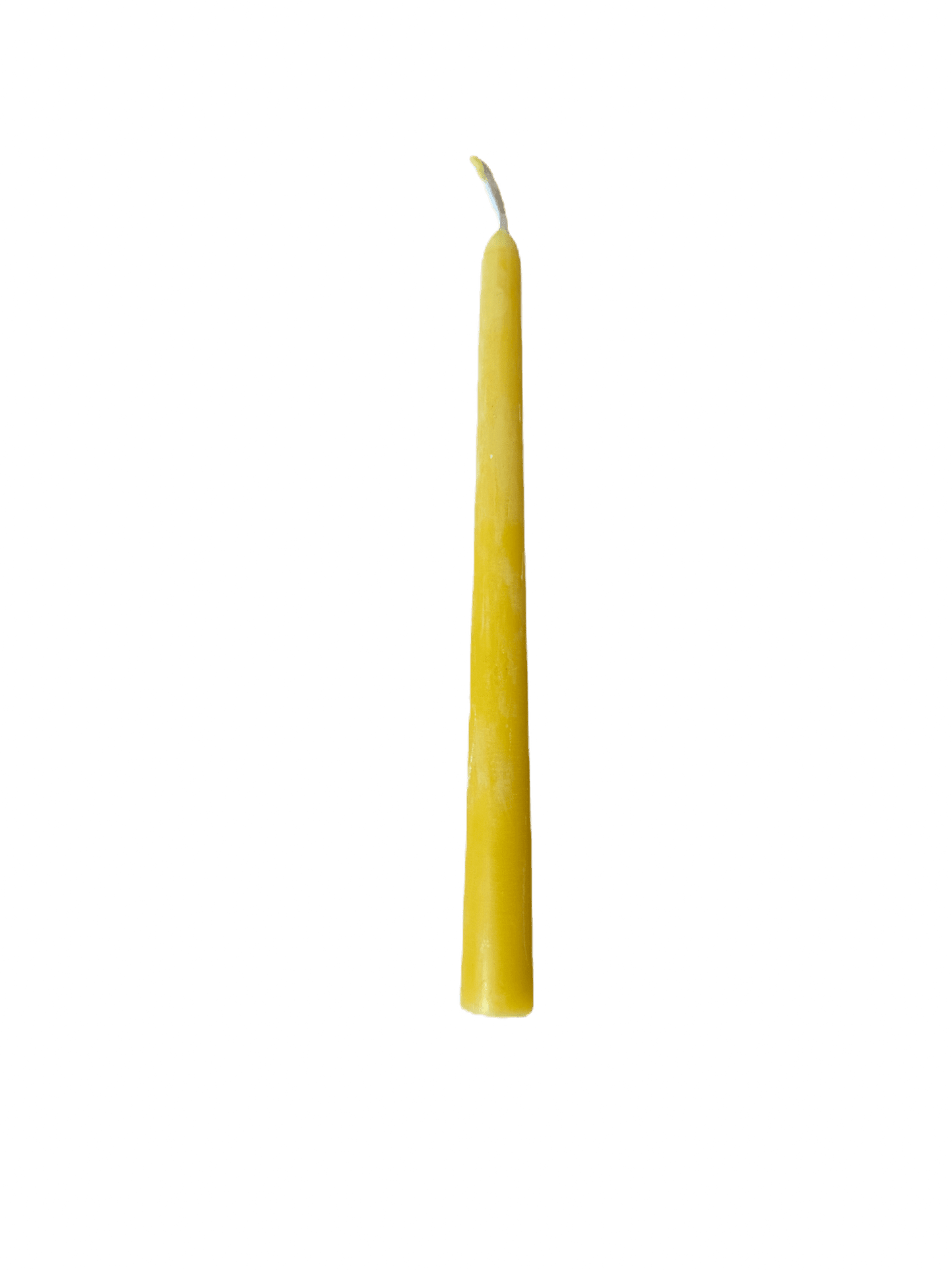 Tapper Candles - Bitterroot Buzz Bees