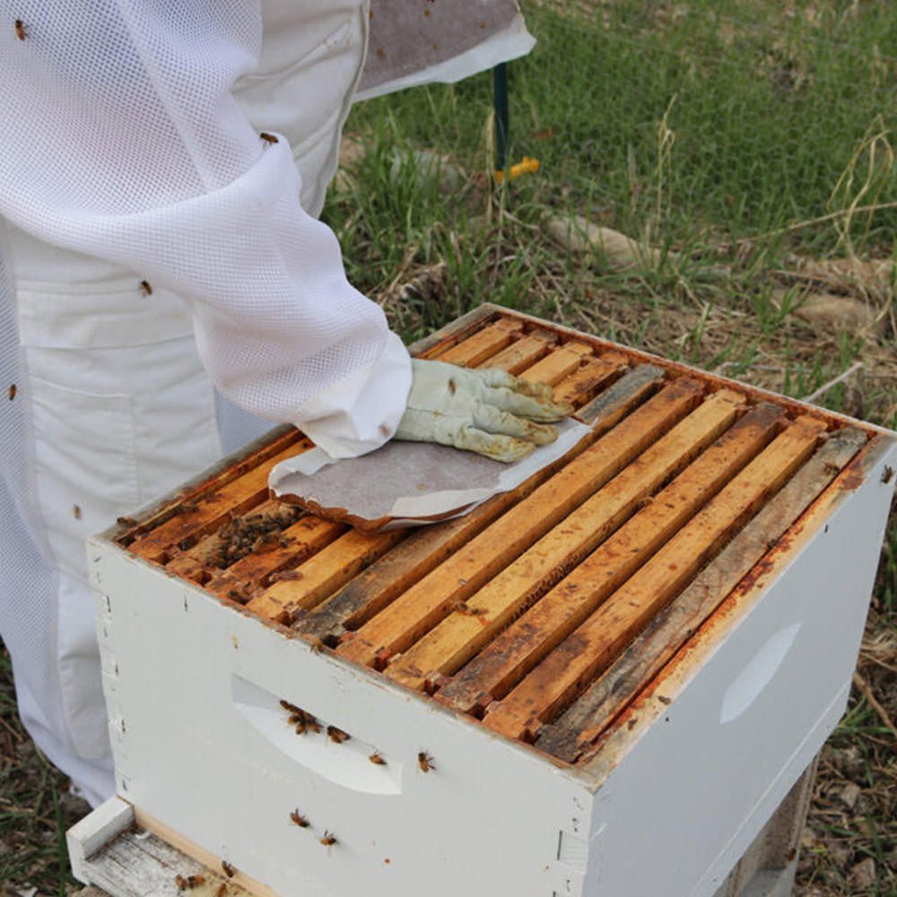 Ultra Bee High Protein Pollen Substitute Patties - Bitterroot Buzz Bees