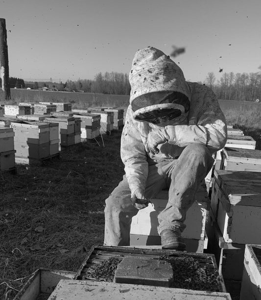 Being a commercial beekeeper - Bitterroot Buzz Bees