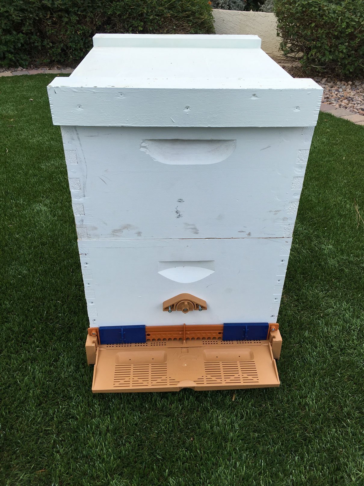 10 Frame Screen Bottom Board With Bottom Tray & Pollen Trap - Bitterroot Buzz Bees