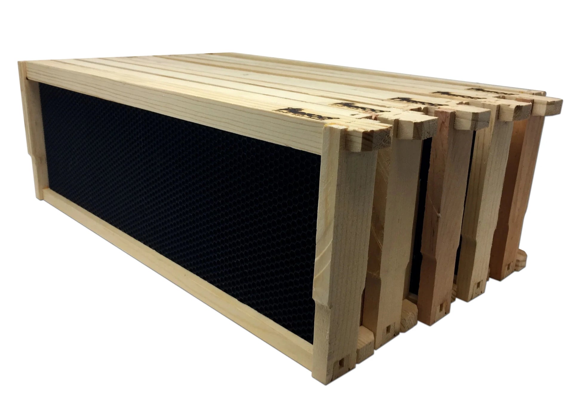 6 1/4" Medium Wood Frame, Black Foundation Single Wax - 10 Pack - Bitterroot Buzz Bees