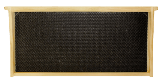 9 1/8" Assembled Frame with Single Wax Coat - Bitterroot Buzz Bees