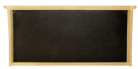 9 1/8" Assembled Frame with Single Wax Coat - Bitterroot Buzz Bees