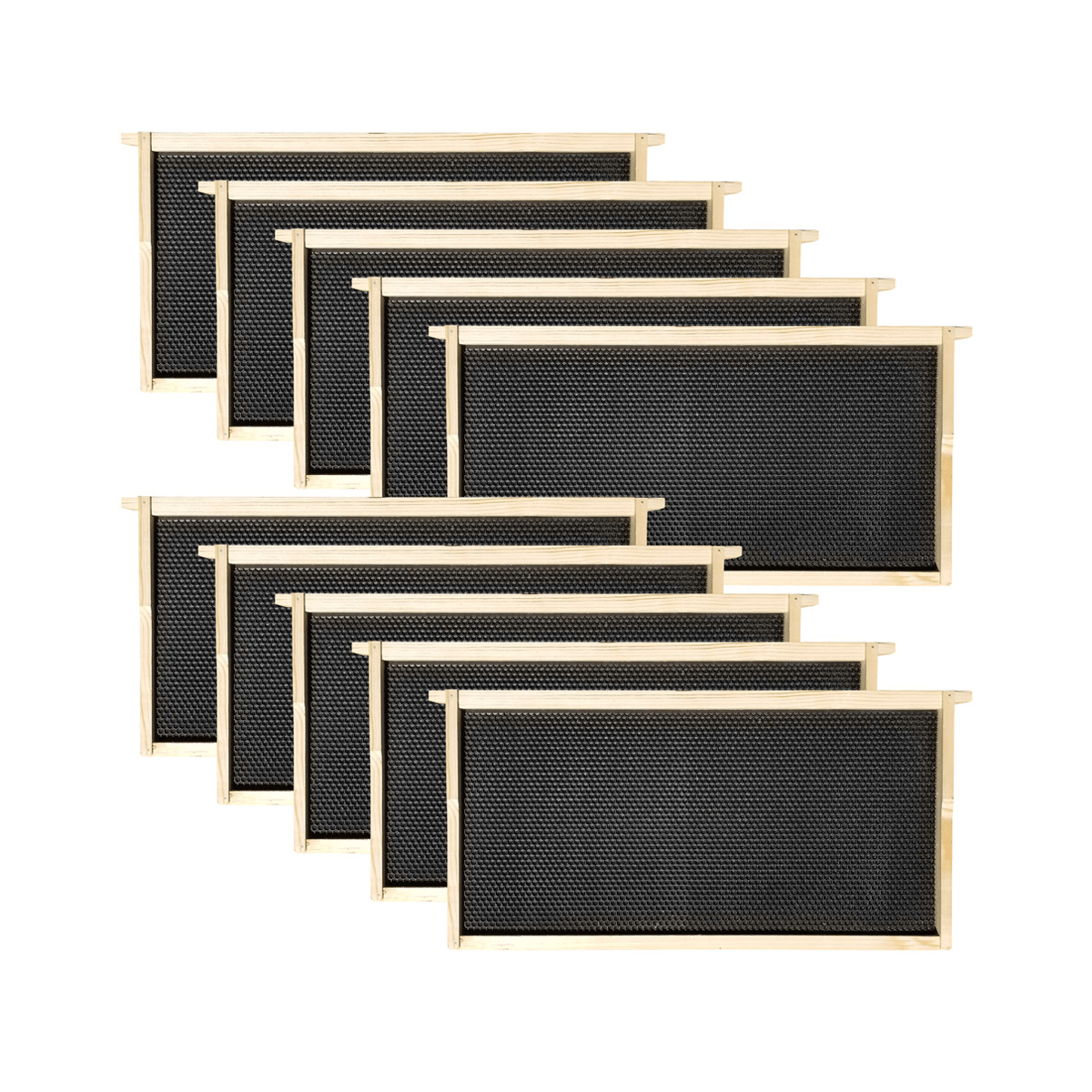 9 1/8” Deep Wood Frame Black Foundation, Single Waxed - 10 pack - Bitterroot Buzz Bees
