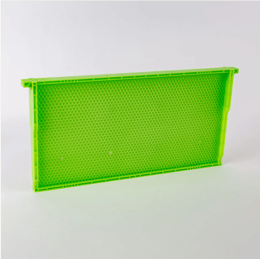 9 1/8" Green Plastic Drone Comb Frame - Bitterroot Buzz Bees