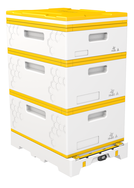 USA Hive Kit (Ship Only)