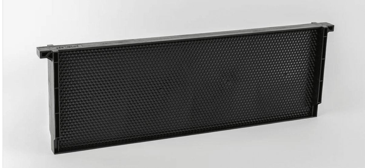 Acorn One - Piece Plastic Bee Frames - Bitterroot Buzz Bees