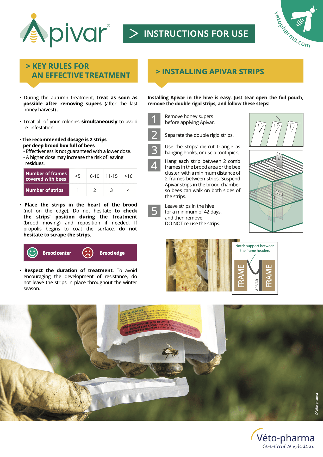Apivar Original + Apivar 2.0 Varroa Mite Strips - Bitterroot Buzz Bees