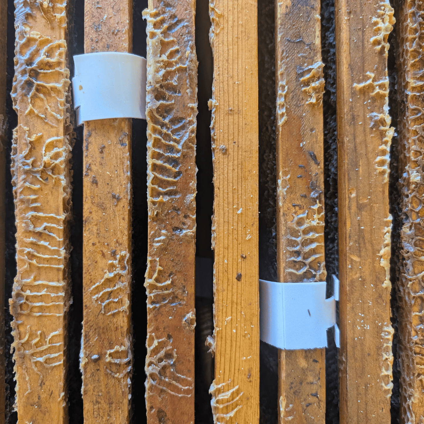 Apivar Original + Apivar 2.0 Varroa Mite Strips - Bitterroot Buzz Bees