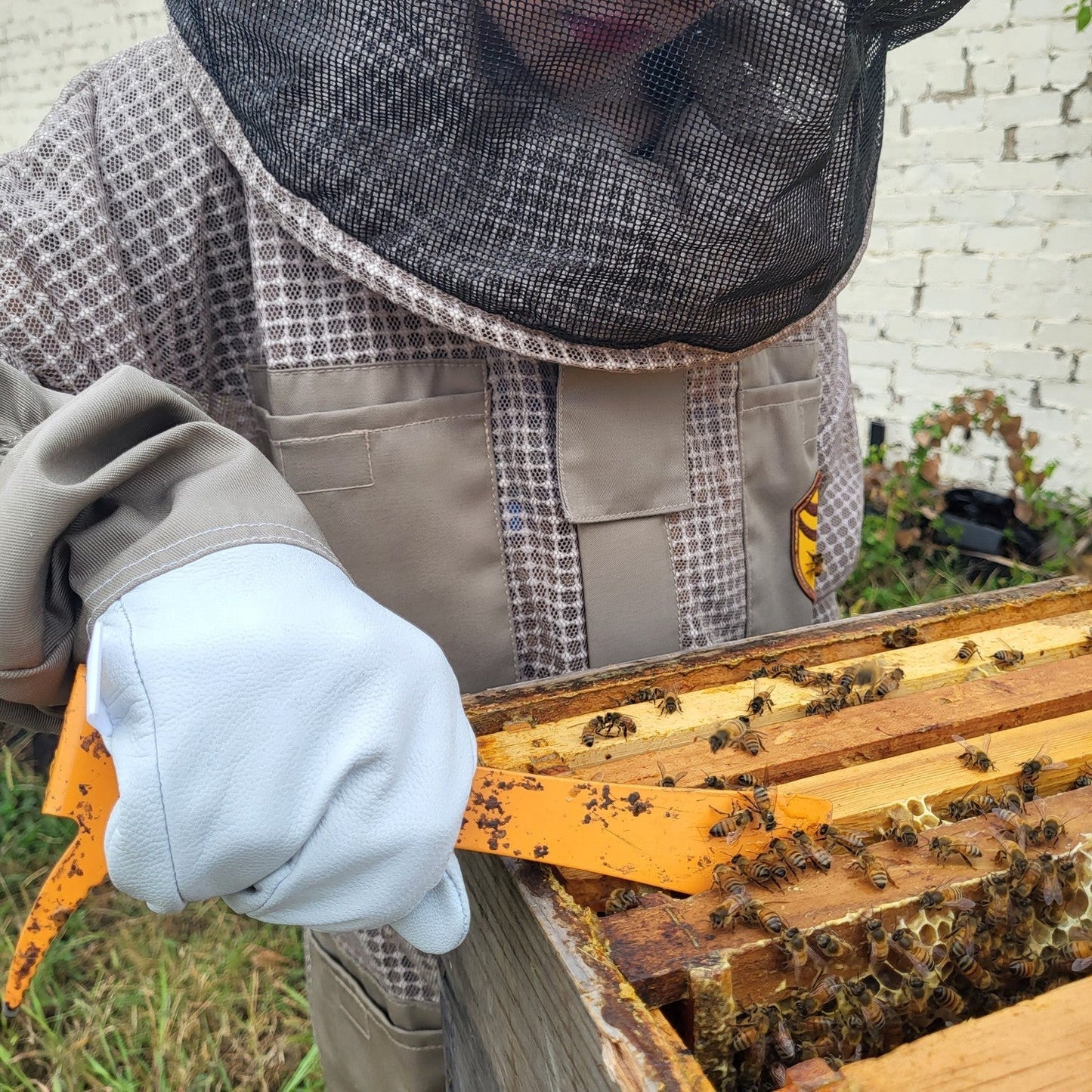 Kids Beekeeping Gloves - Bitterroot Buzz Bees