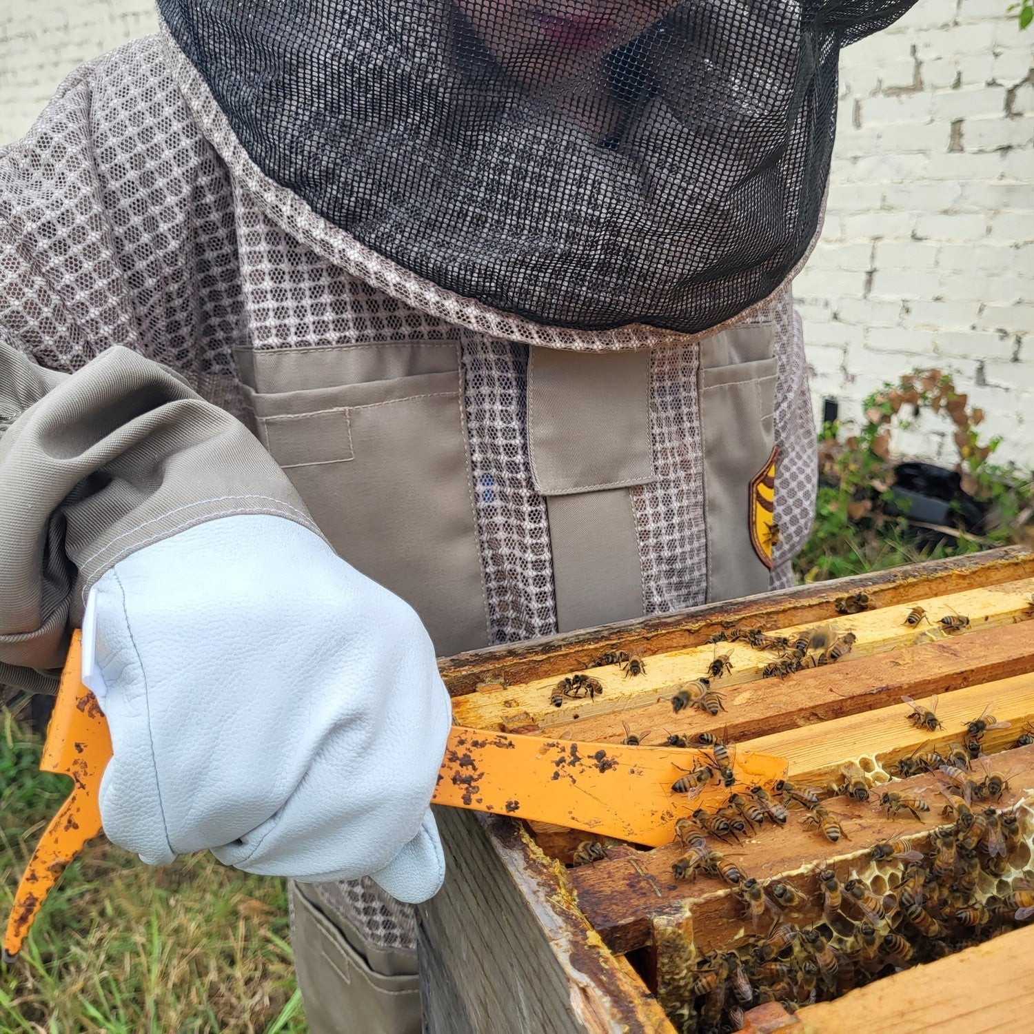 Kids Beekeeping Gloves - Bitterroot Buzz Bees