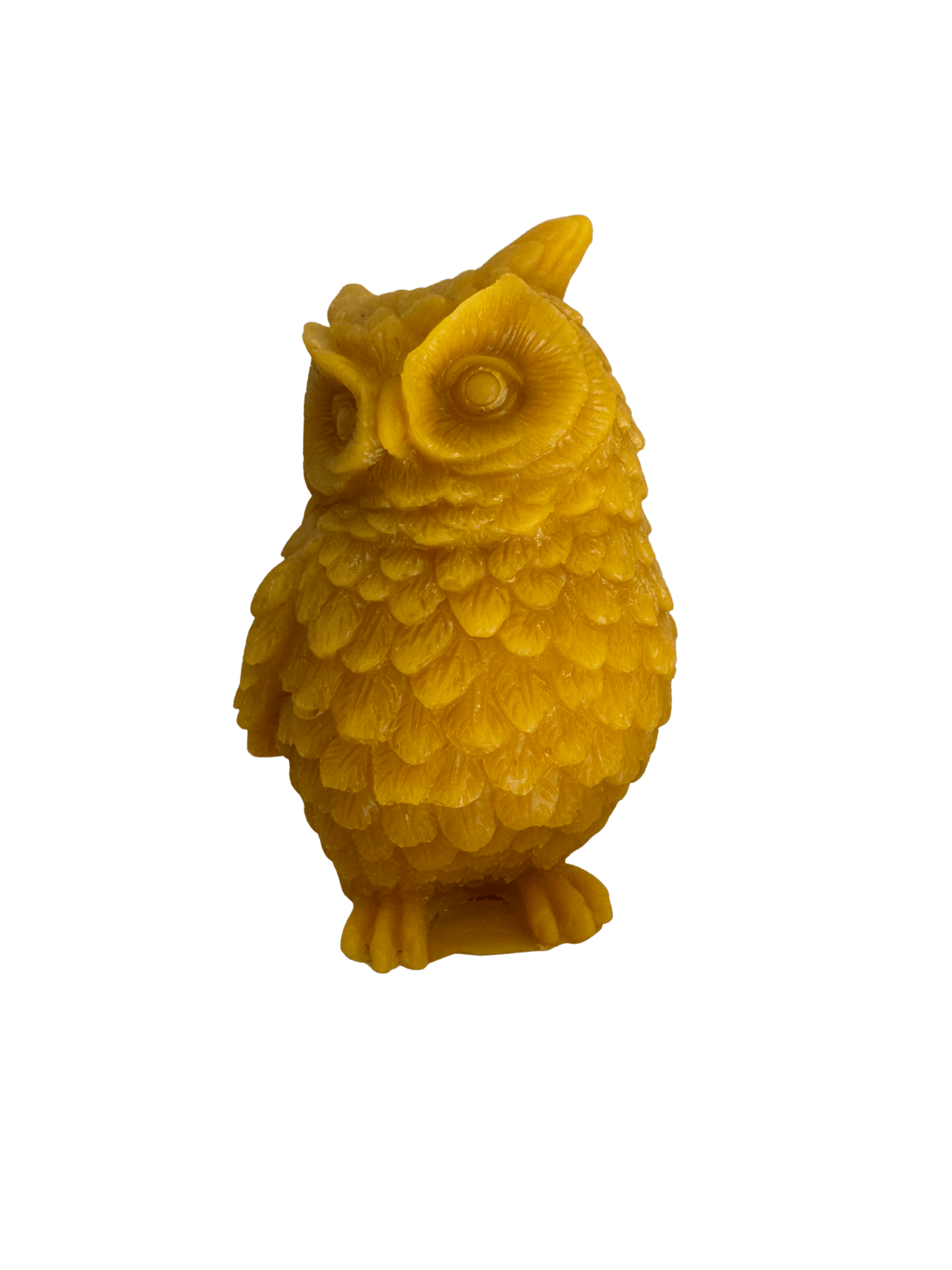 Owl Beeswax Candle - Woodland Wisdom Glow - Bitterroot Buzz Bees