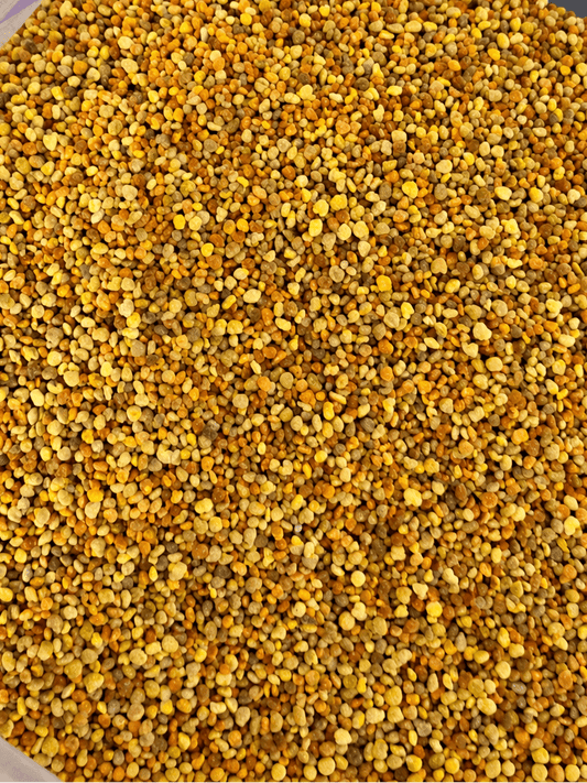 Raw Bee Pollen: Superfood Boost - Bitterroot Buzz Bees