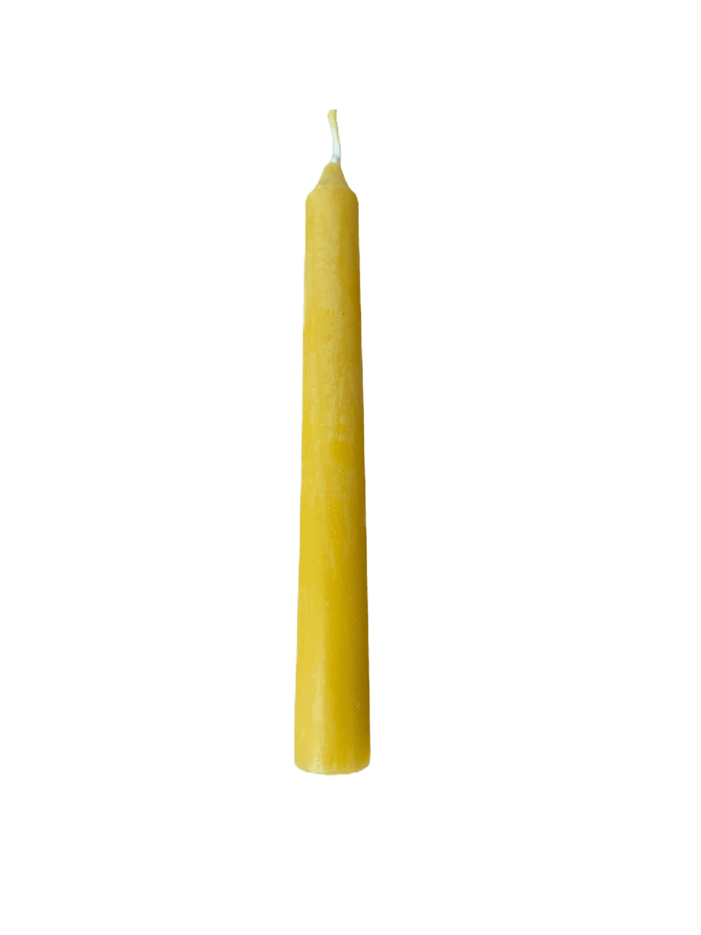 Tapper Candles - Bitterroot Buzz Bees
