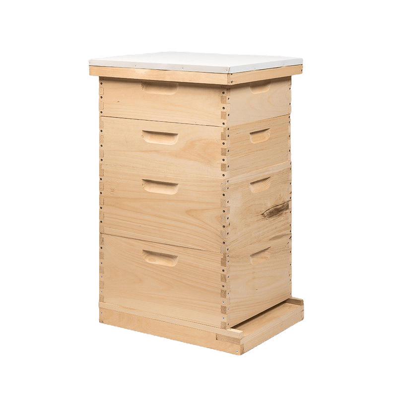 Traditional Growing Apiary Kit- 10 Frame – Bitterroot Buzz Bees