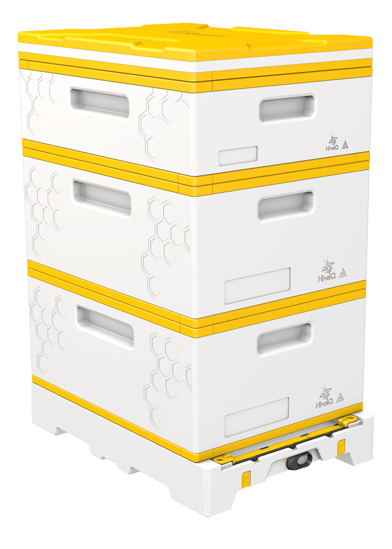 USA Hive Kit (Ship Only) - Bitterroot Buzz Bees
