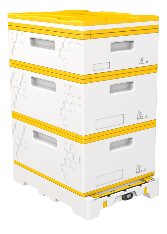 USA Hive Kit (Ship Only) - Bitterroot Buzz Bees
