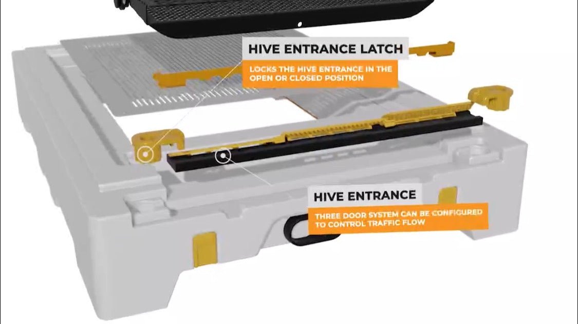 USA Hive Kit - Bitterroot Buzz Bees