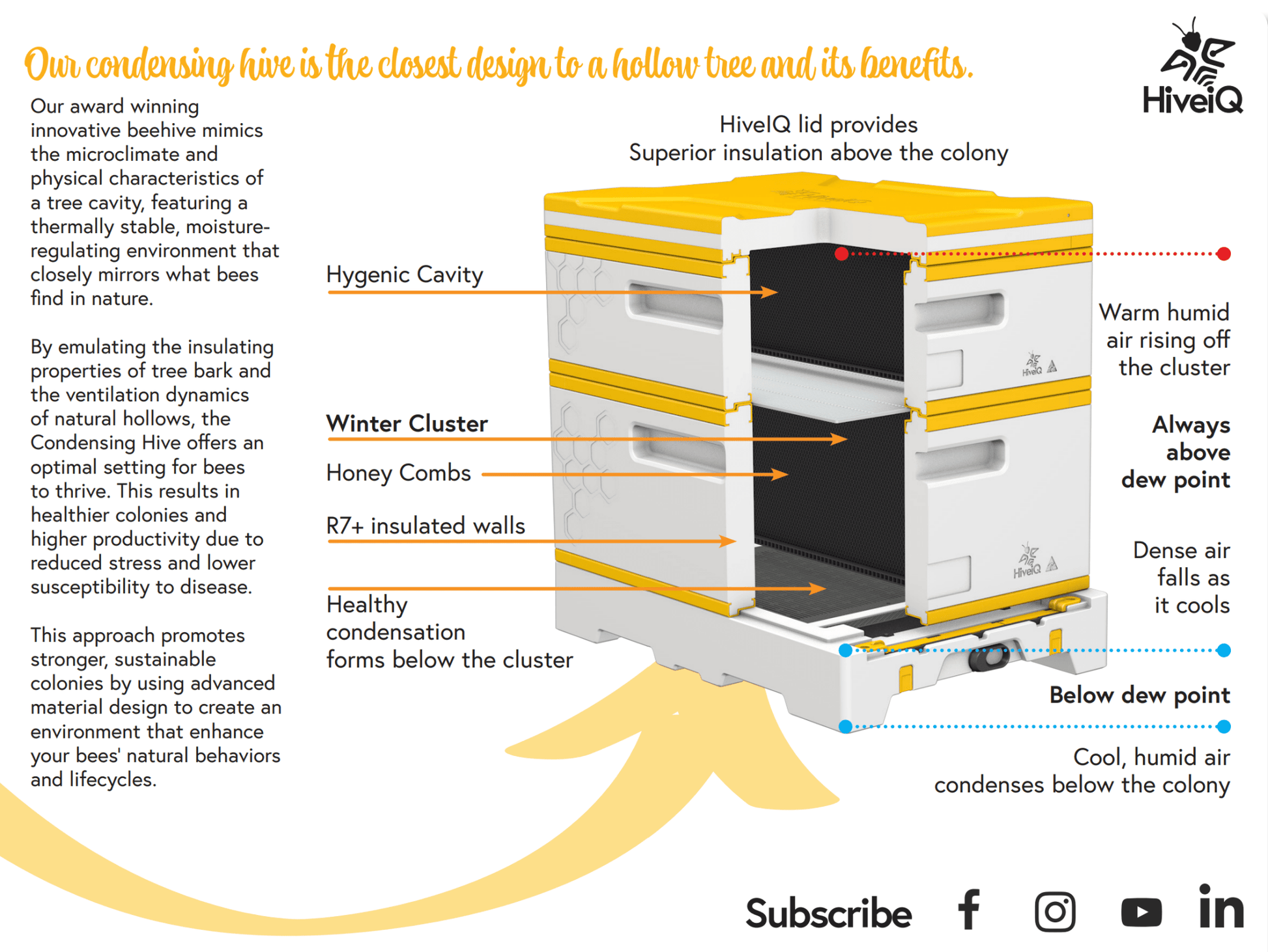 USA HiveiQ Beekeeping Kit: Essentials for Success - Bitterroot Buzz Bees