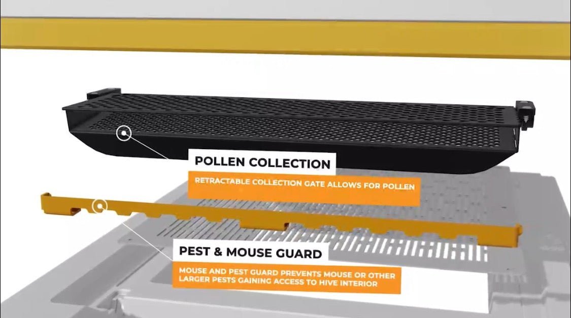 USA HiveiQ Beekeeping Kit: Essentials for Success - Bitterroot Buzz Bees
