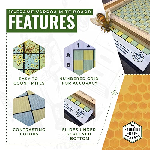 Varroa Mite Board - Bitterroot Buzz Bees