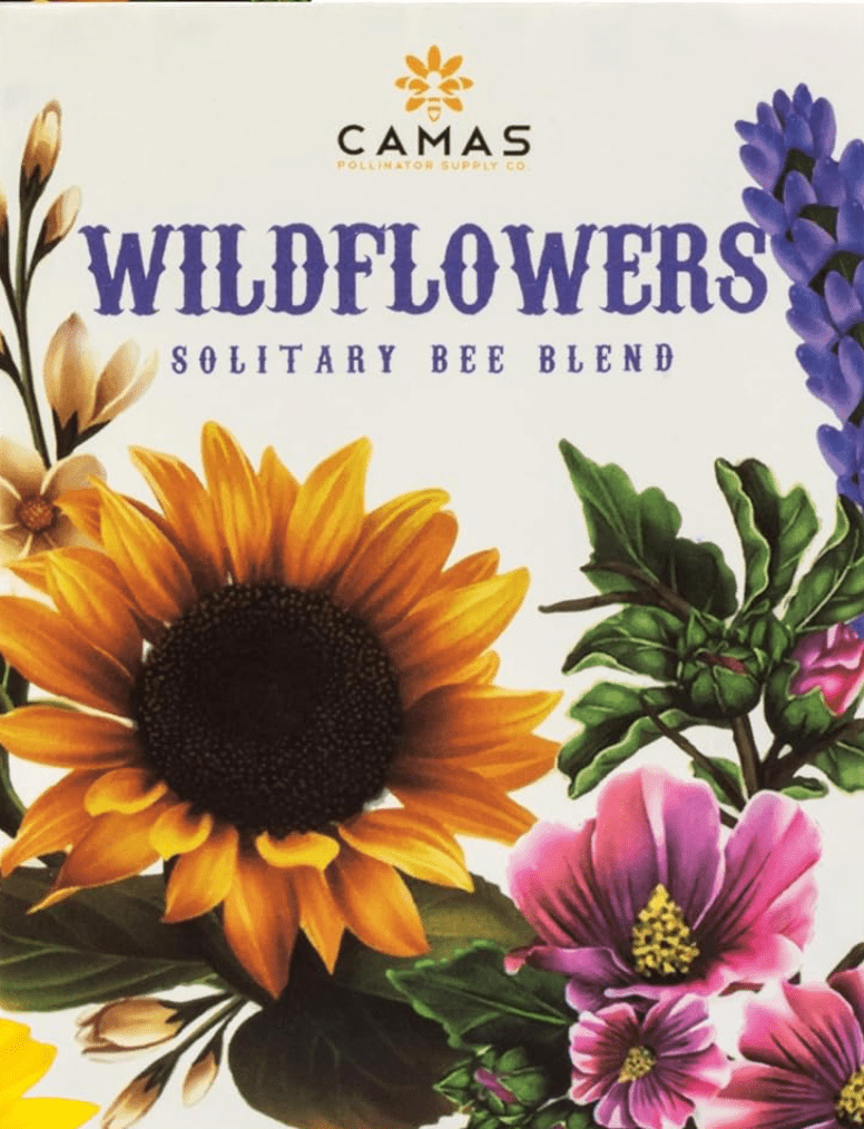 Wildflower Bee Seed Mix - Pollinator Generation - Bitterroot Buzz Bees